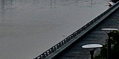 Truth